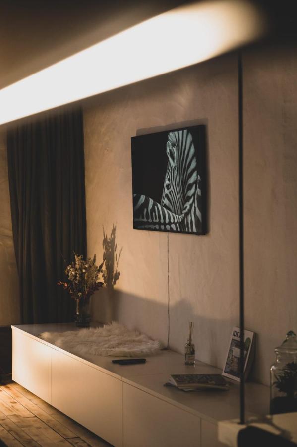 L'Appart' - Ideal For A Stay In The City Center Near The Lake Άννεσι Εξωτερικό φωτογραφία